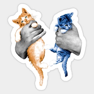 The kittens in hands Sticker